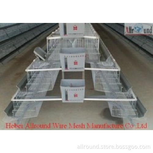 Hot Selling Automatic Chicken Broiler Battery Cage